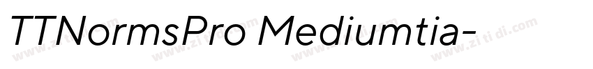 TTNormsPro Mediumtia字体转换